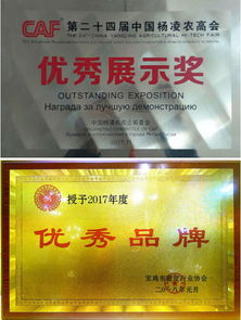 一碗小小的面皮,為何如此的火爆