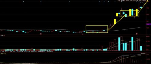 A股大尋寶 四只具備“飛天”潛力、散戶忽略卻獲資金悄然關注的標的