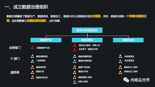 集團數(shù)據(jù)管控與數(shù)據(jù)治理解決方案 打造高效、可信的數(shù)據(jù)處理服務