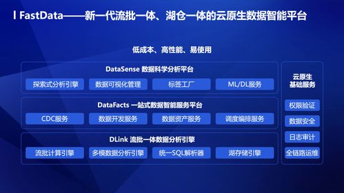 滴普科技 聚焦高數(shù)據(jù)密度場(chǎng)景，以數(shù)據(jù)處理服務(wù)驅(qū)動(dòng)產(chǎn)業(yè)數(shù)字化轉(zhuǎn)型